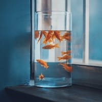 Ảnh hồ sơ Mai Xuân Trang